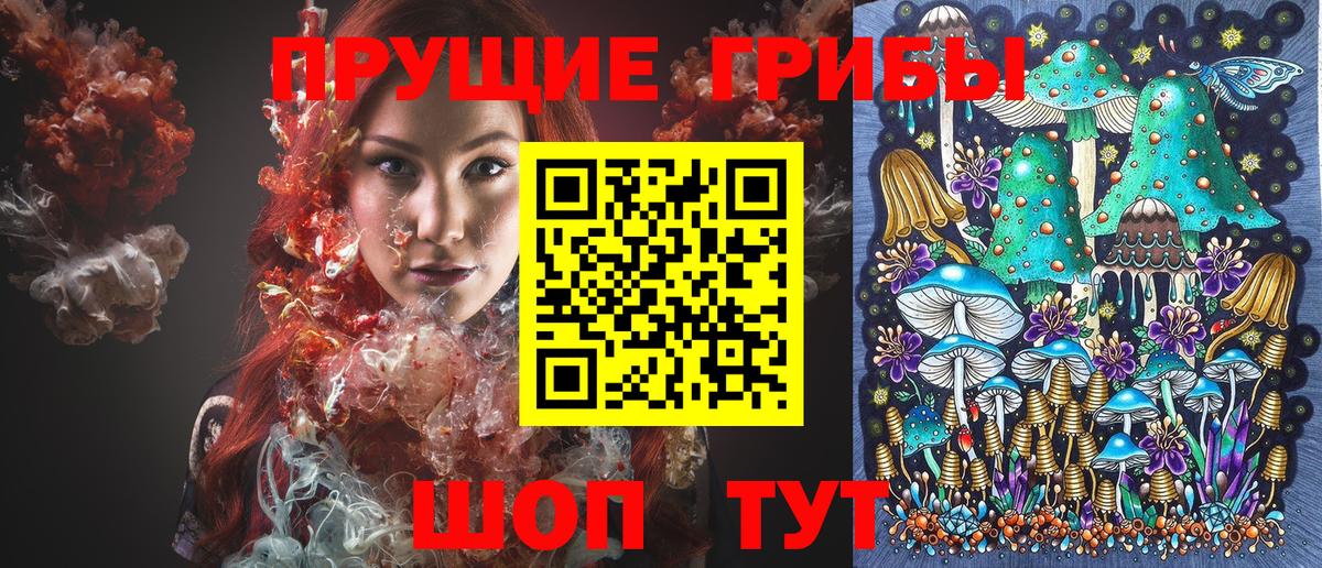 Псилоцибиновые грибы Psilocybine cubensis  Вход с VPN  Клинцы  Галлюциногенные грибы прущие грибы 